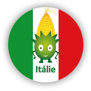 Odznak za návštěvu kukuřičného bludiště Kralovice - Labyrint Itálie