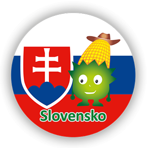 Plán kukuřičného bludiště Krhov - Labyrint Slovensko