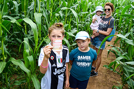 Corn maze for children and adults brings lot of fun.